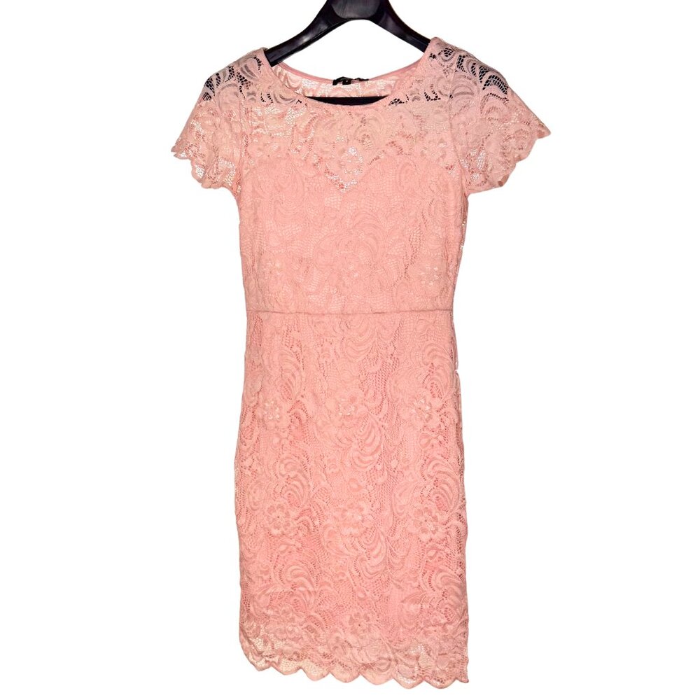 Ambiance Pink Lace Dress Medium Sheath Wedding Guest Spring